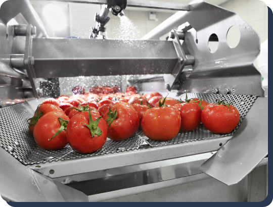 Fruit Washer Machine - Envitro Technomech