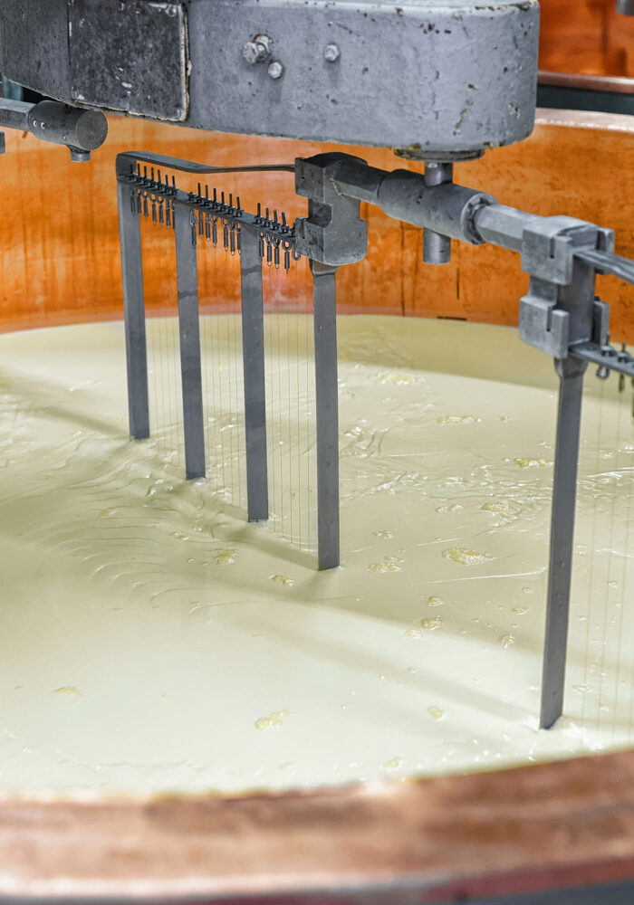 Dairy Based Products Processing Machineries - Envitro Technomech