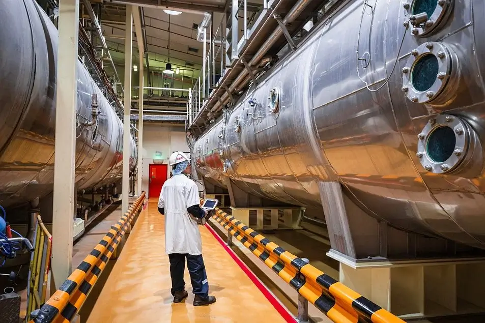 Hygiene Standards in Dairy Processing Plants