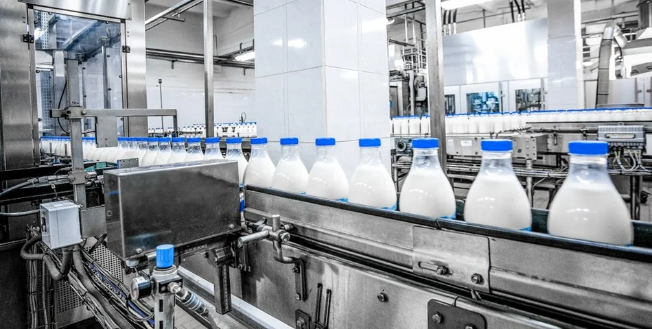 Automation Dairy Processing Equipment