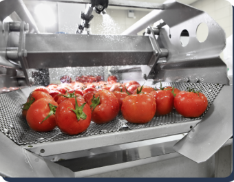 Fruit Washer Machine - Envitro Technomech