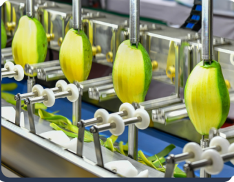 Vegetable Steam Peeler Machine - Envitro Technomech